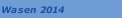 Wasen 2014